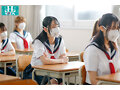 着床器官 美ノ嶋めぐり