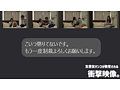RIHO 2